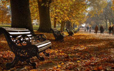 An Autumn Evening Walk in Wonderful Regent’s Park